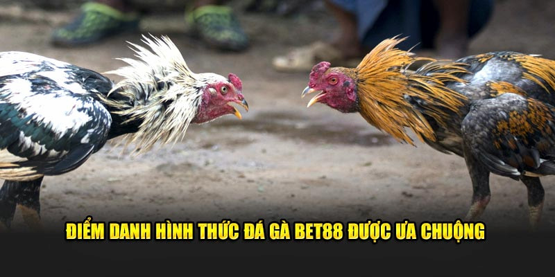 Người chơi có thể lựa chọn dự đoán với nhiều hình thức thi đấu khác nhau
