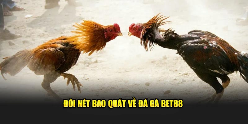 Sảnh đá gà BET88 đang được đông đảo bet thủ tìm kiếm tham gia