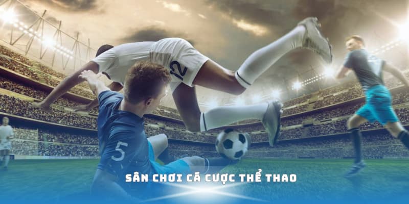 Chỉ nên tham gia cá cược những bộ môn mà mình có sự hứng thú và kiến thức