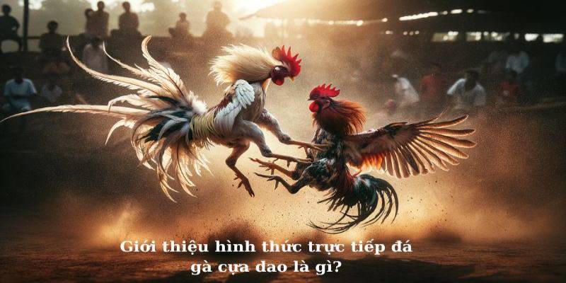 Giới thiệu về sân chơi đá gà cựa dao tại BET88