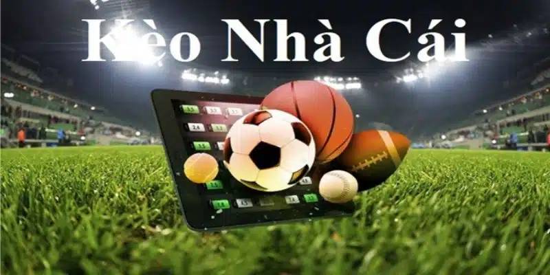 Tổng hợp những kèo nhà cái là gì và phổ biến nhất ở sảnh thể thao
